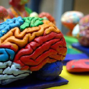 Jakie są dziedziny psychologii?